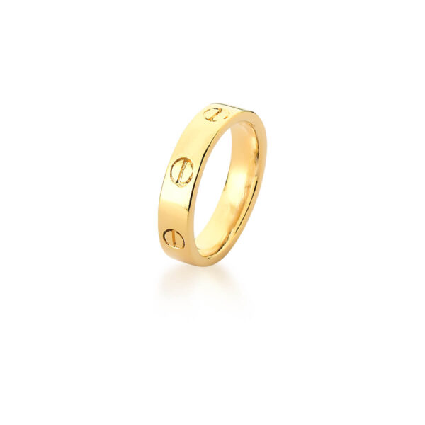 Anel Trabalhado Redondo Banho Ouro 18k