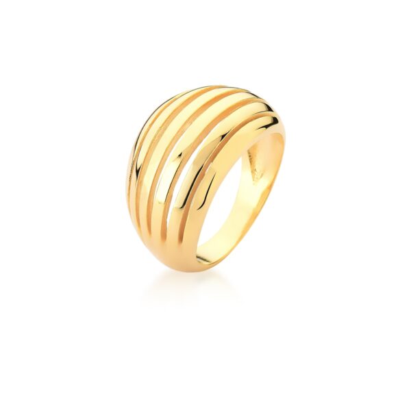 Anel Vazado Com Seis Fileiras Lisas Banhado A Ouro 18k